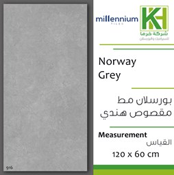 Picture of Indian Matt porcelain tile 60x120 cm Norway Grey